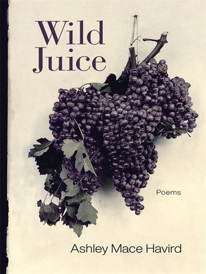 cover image of Wild Juice